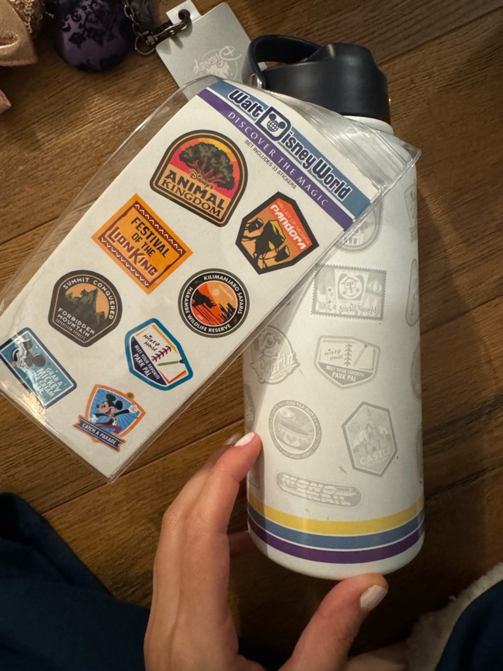 WDW Water Bottle - Discover the Magic Series